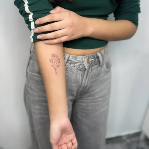 Línea fina (2)
